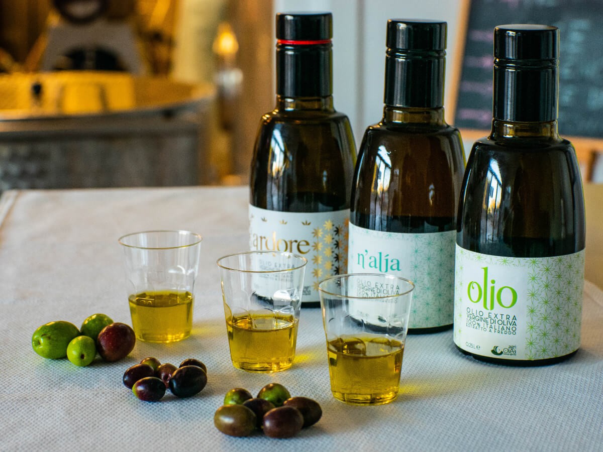 Cultivar olives